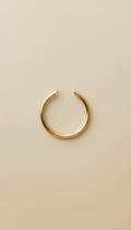 Delicate Gold Hoop Earrings